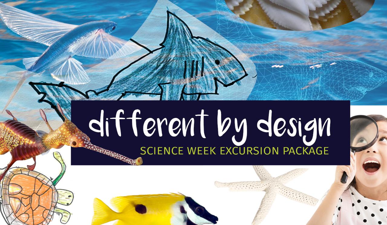 ARCHIVE - Excursion Package - Visit & Different By Design Program (full day)