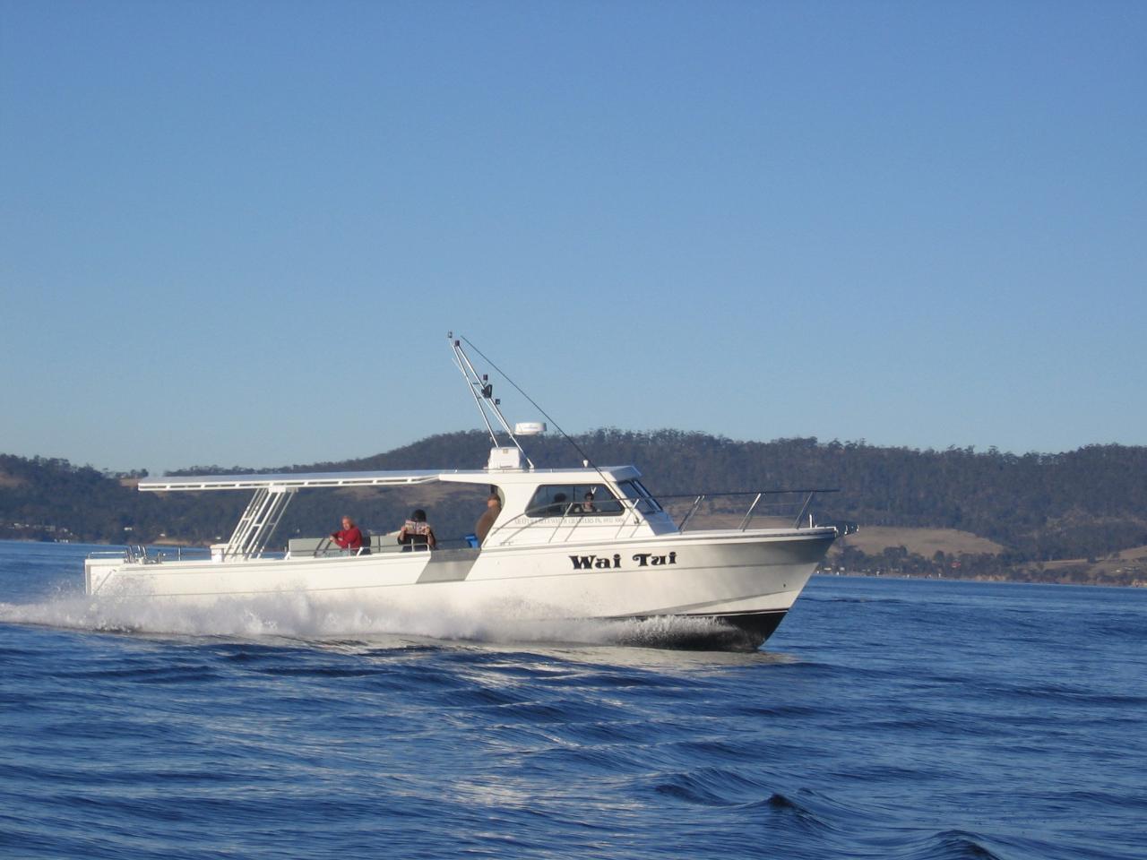 Wai Tui Half Day Morning Offshore Private Sole Boat Fishing Charter (max 18 persons)