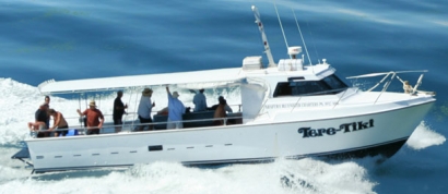 Half Day Morning Offshore Private Sole Boat Fishing Charter (max 12 persons)