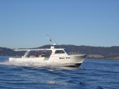Wai Tui SOLE BOAT  Full Day Offshore Reef and Game Fishing Charter
