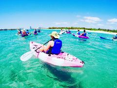  2 Hour Dolphin Kayaking & Snorkeling Tour
