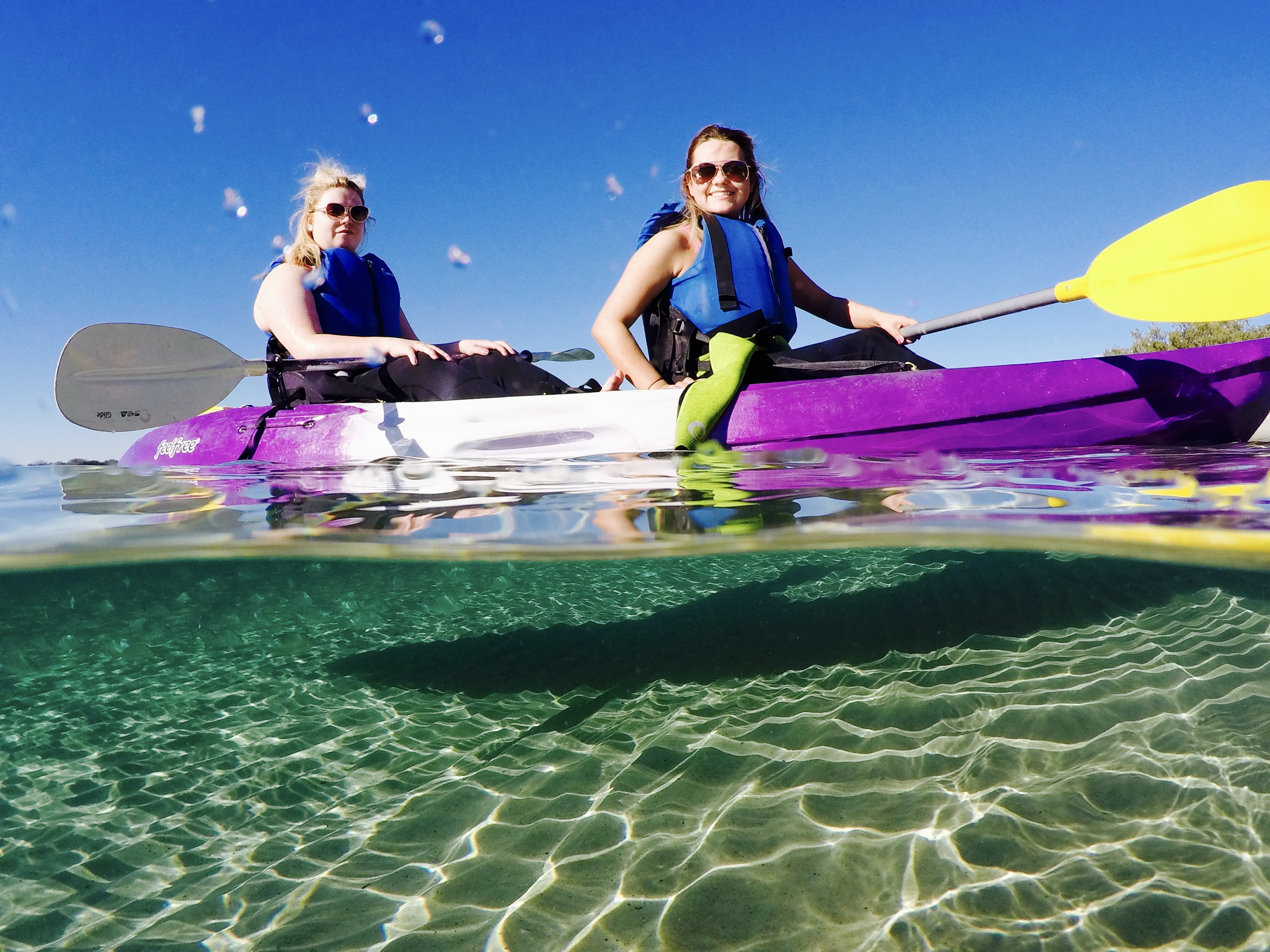 Half Day Dolphin and Stradbroke Island Tour