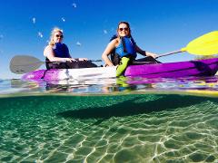 7:30am Morning Dolphin Kayaking and Snorkeling Tour