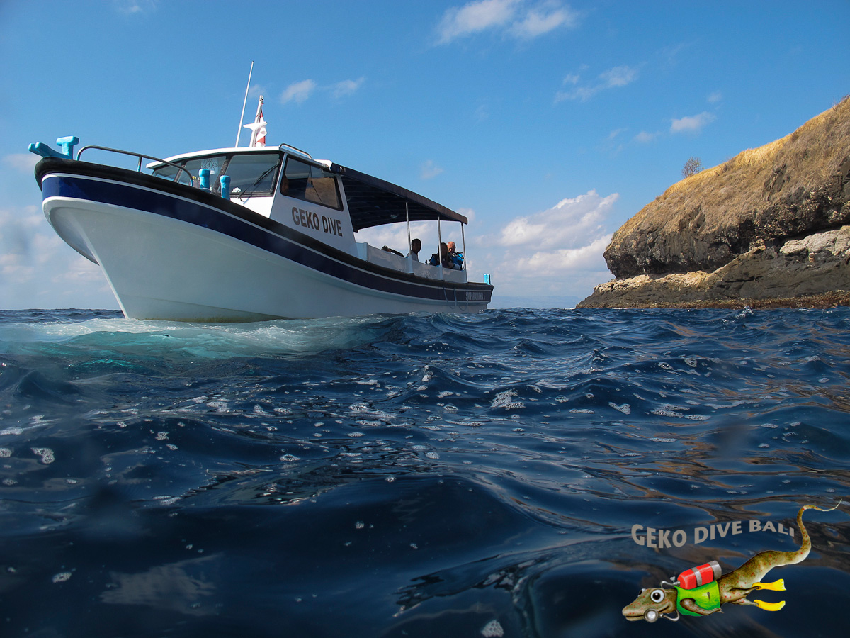 2 certified fun dives at Gili Biaha & Tepekong, Bali dive sites