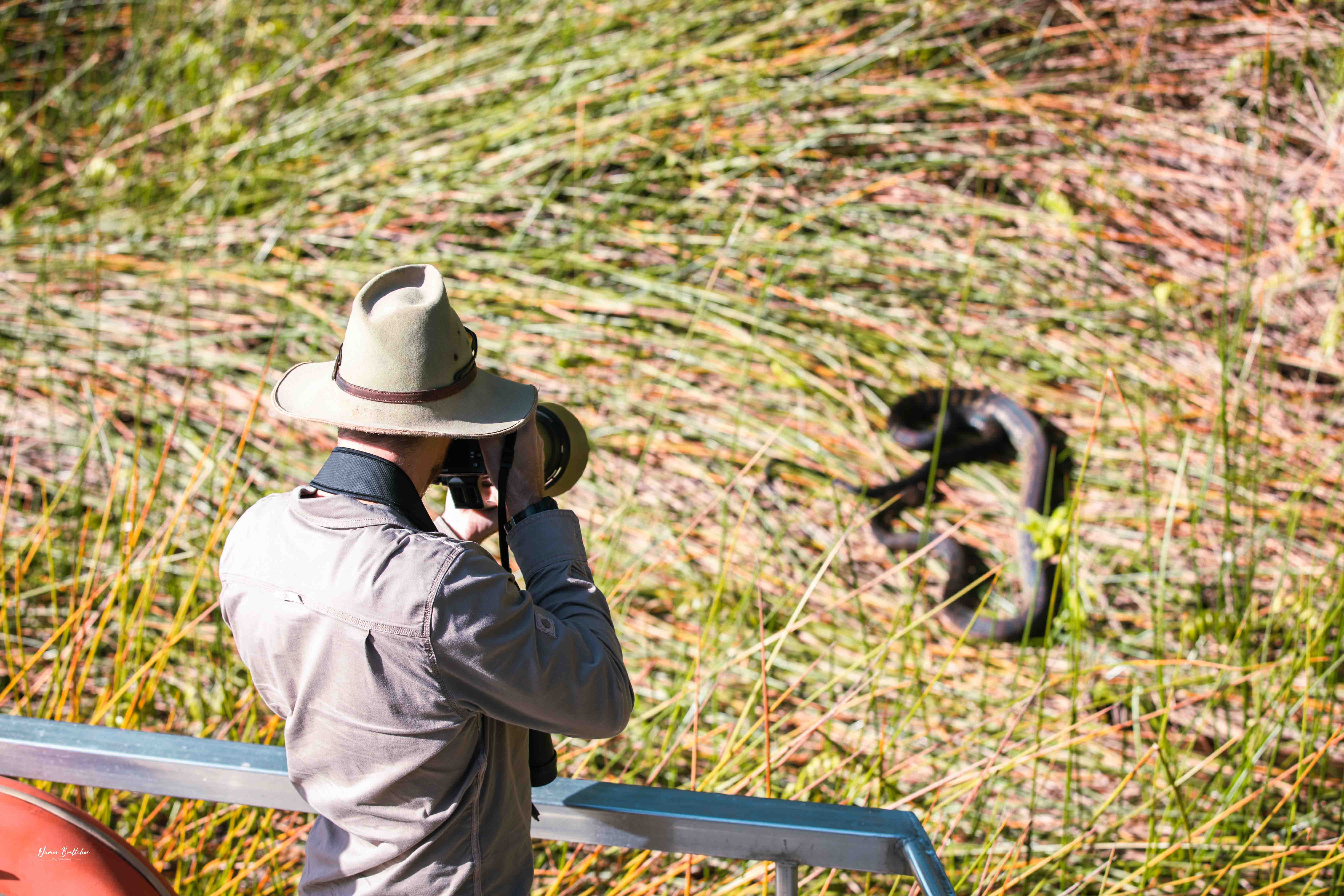 Private Atherton Tablelands  Nature and Wildlife Tour