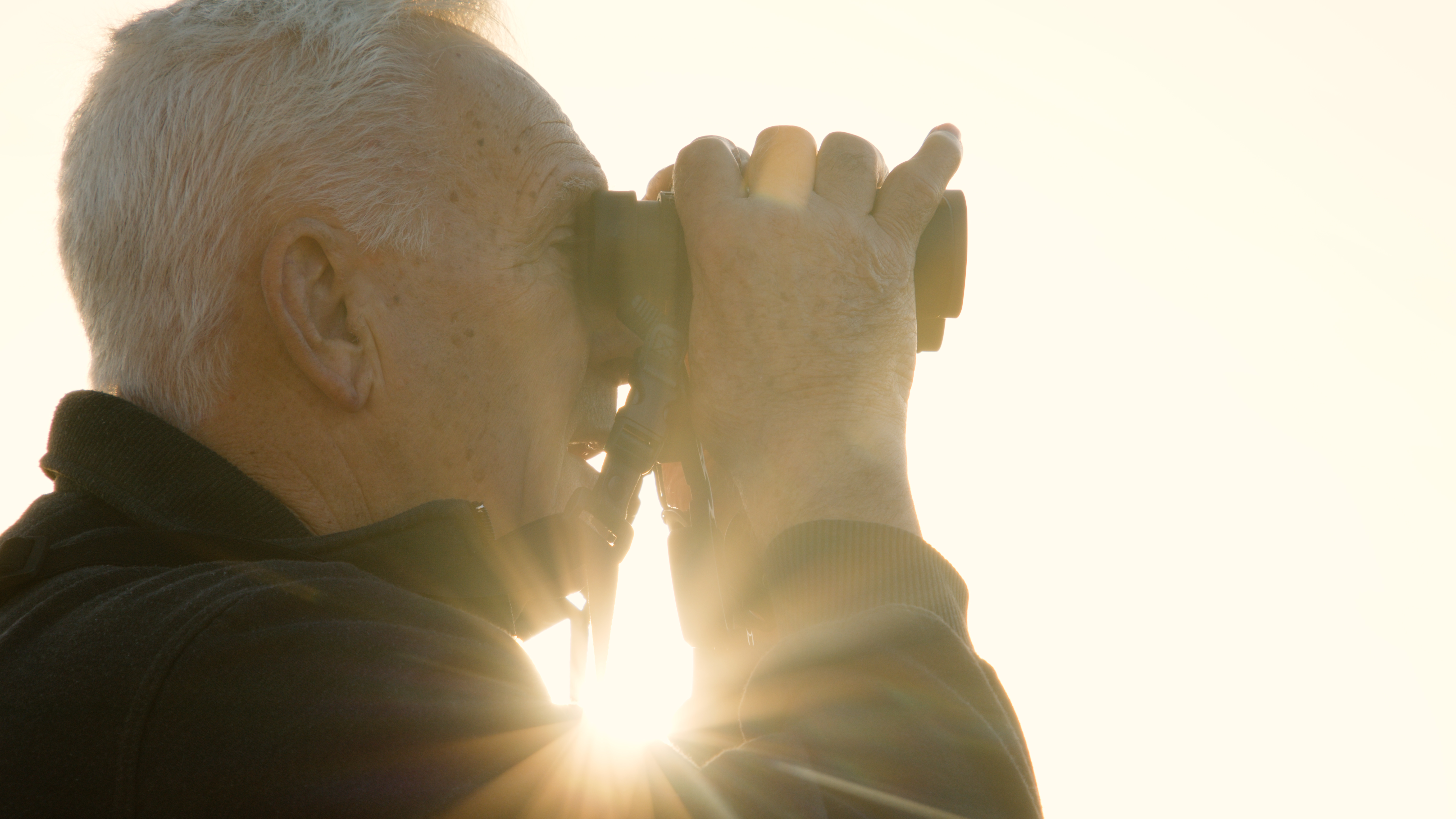 Private North Queensland Birdwatching Day Tour