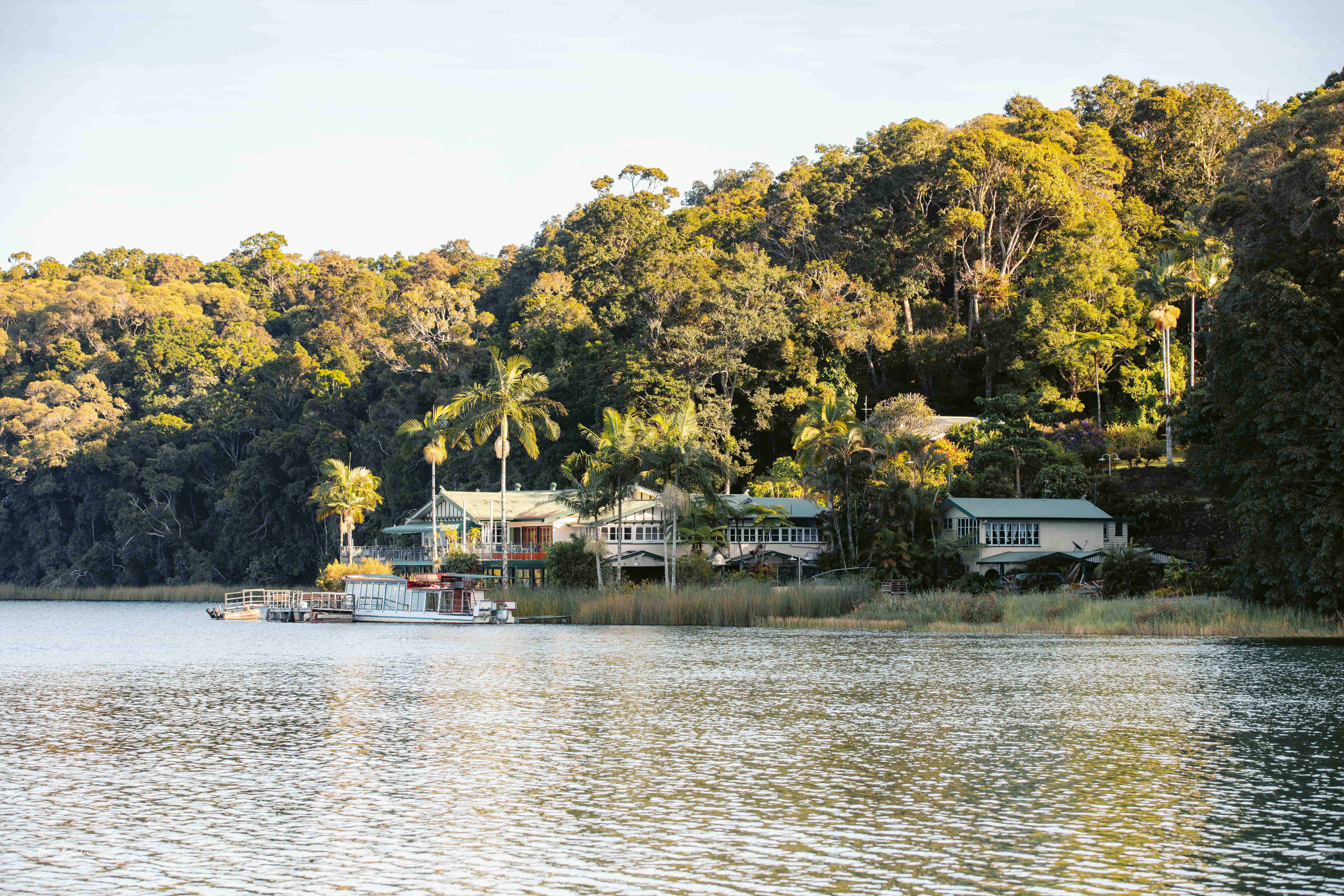 Private Atherton Tablelands  Nature and Wildlife Tour