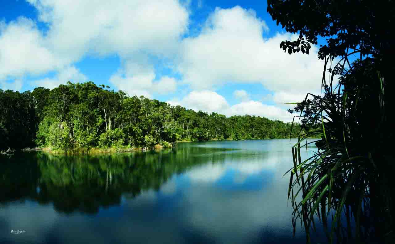 Private Atherton Tablelands  Nature and Wildlife Tour