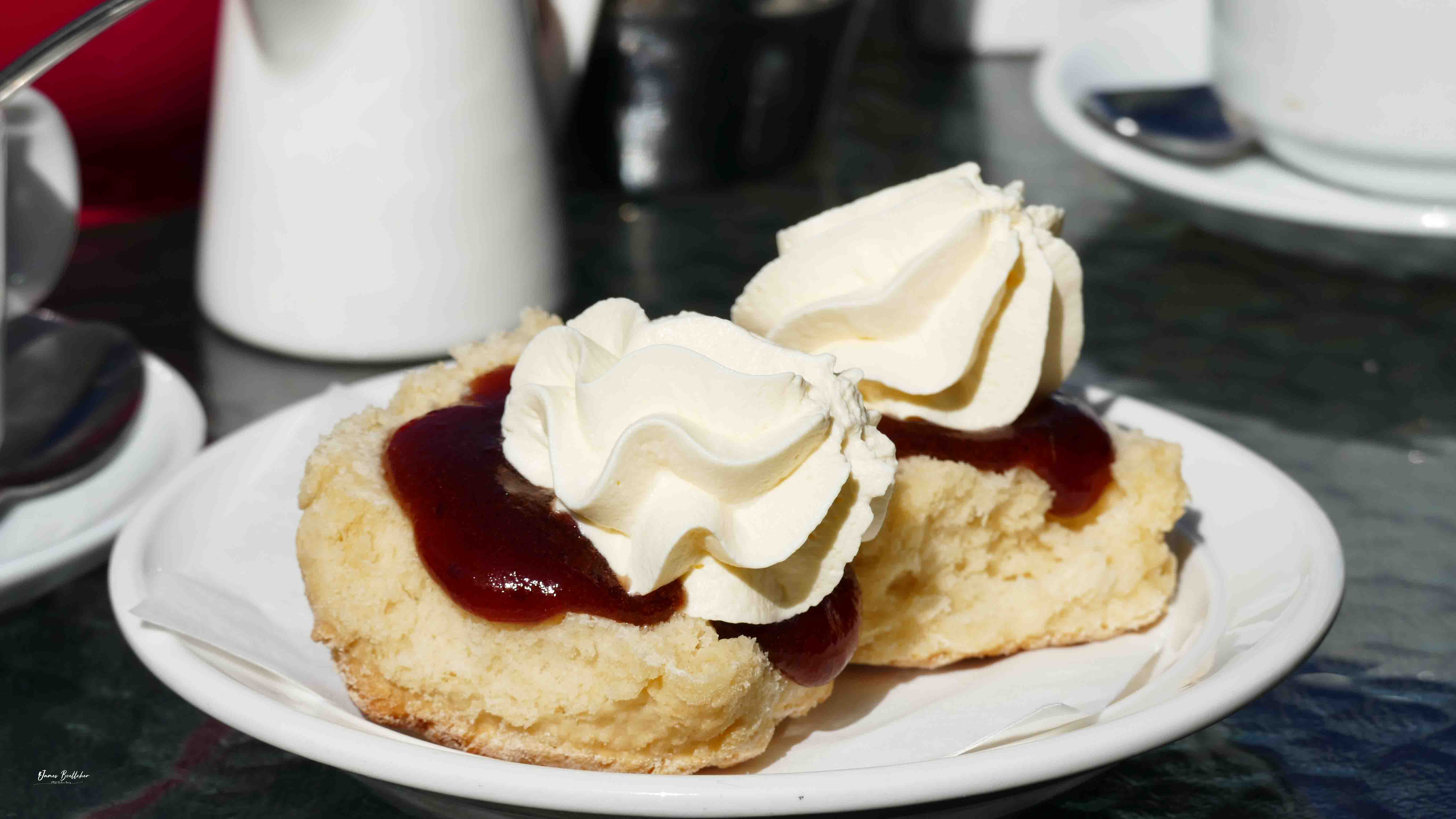 Private Atherton Tablelands  Nature and Wildlife Tour