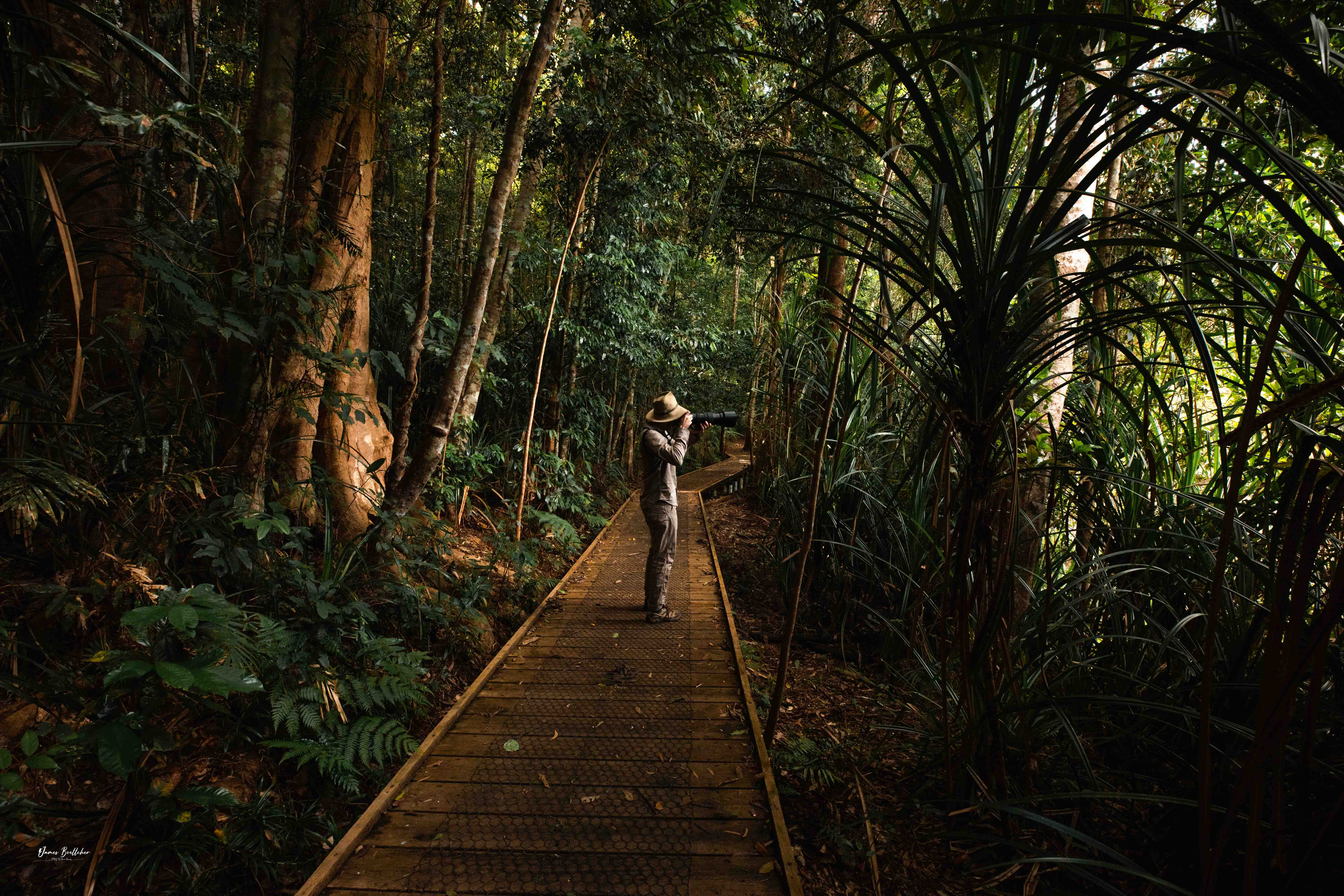 Private Atherton Tablelands  Nature and Wildlife Tour