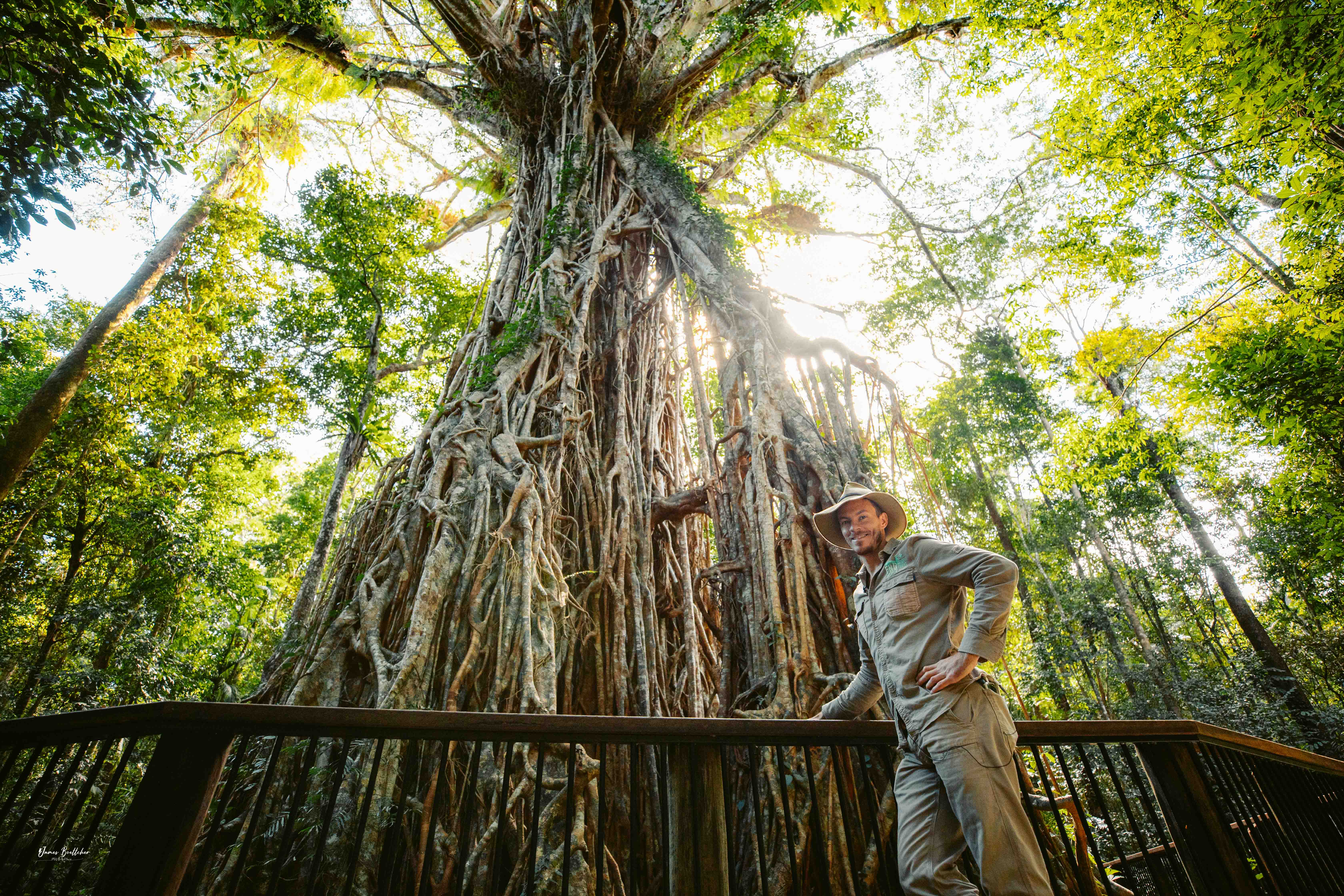 Private Atherton Tablelands  Nature and Wildlife Tour