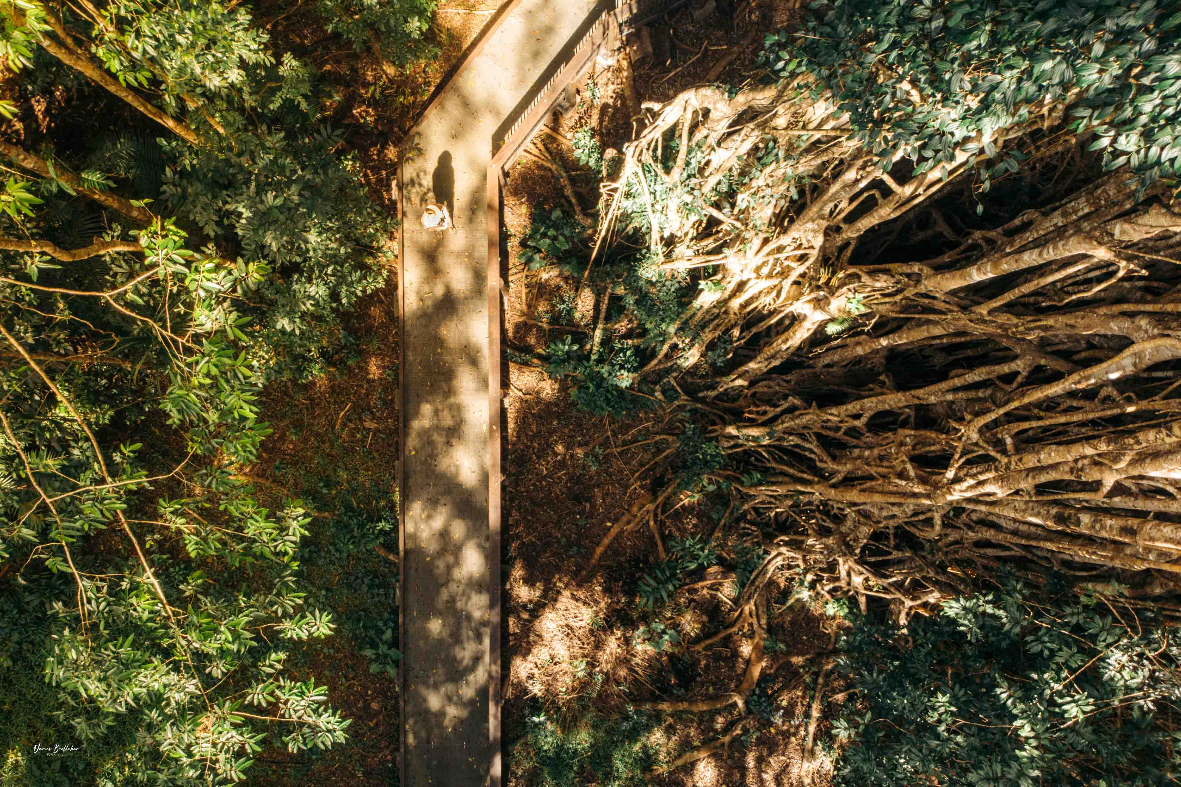 Private Atherton Tablelands  Nature and Wildlife Tour