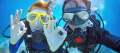 Queensland Scuba Dive