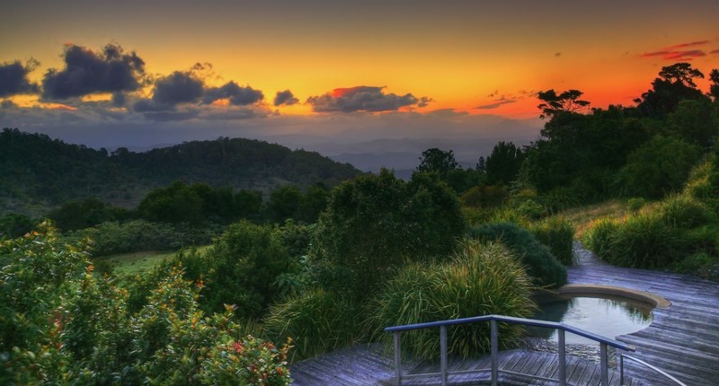 O'Reilly's, Lamington National Park + Vineyard Day Tour