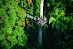 The Best of Tamborine Mountain Tour Day Tour