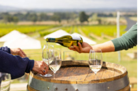 専用車で行く ヤラバレー プレミアム ワイナリーツアー (Australian Wine Tour)