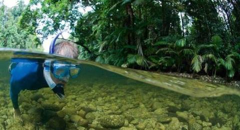 River Drift Snorkelling