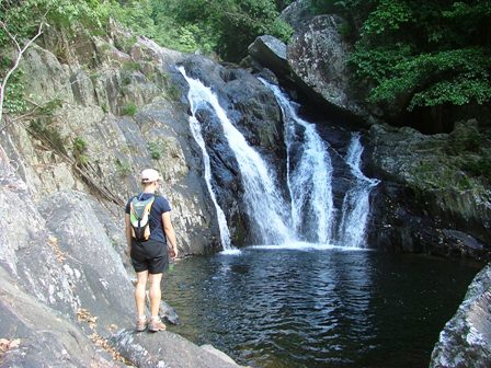 Spring Creek Bush Walking Tour