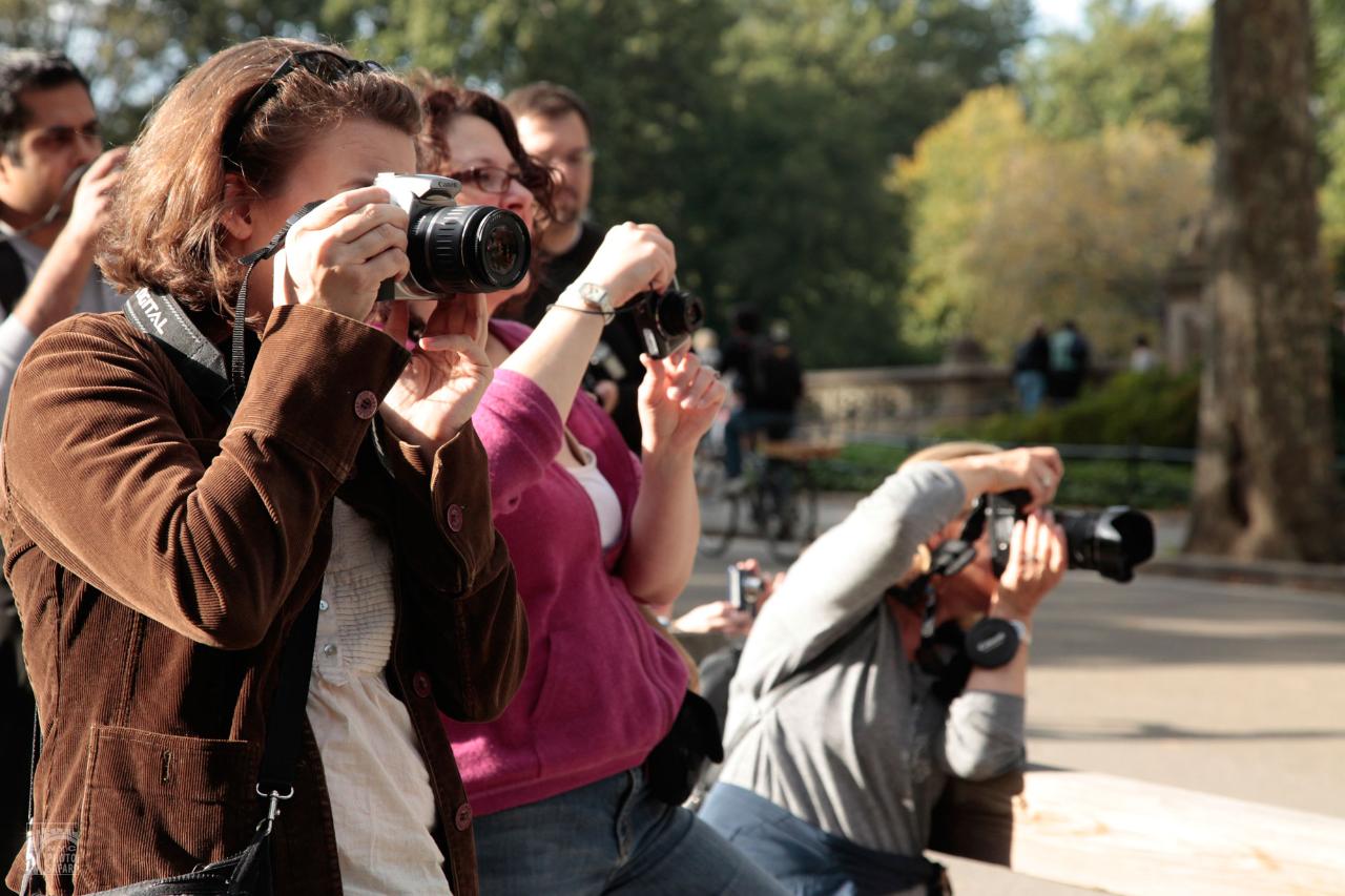 Central Park Photo Safari