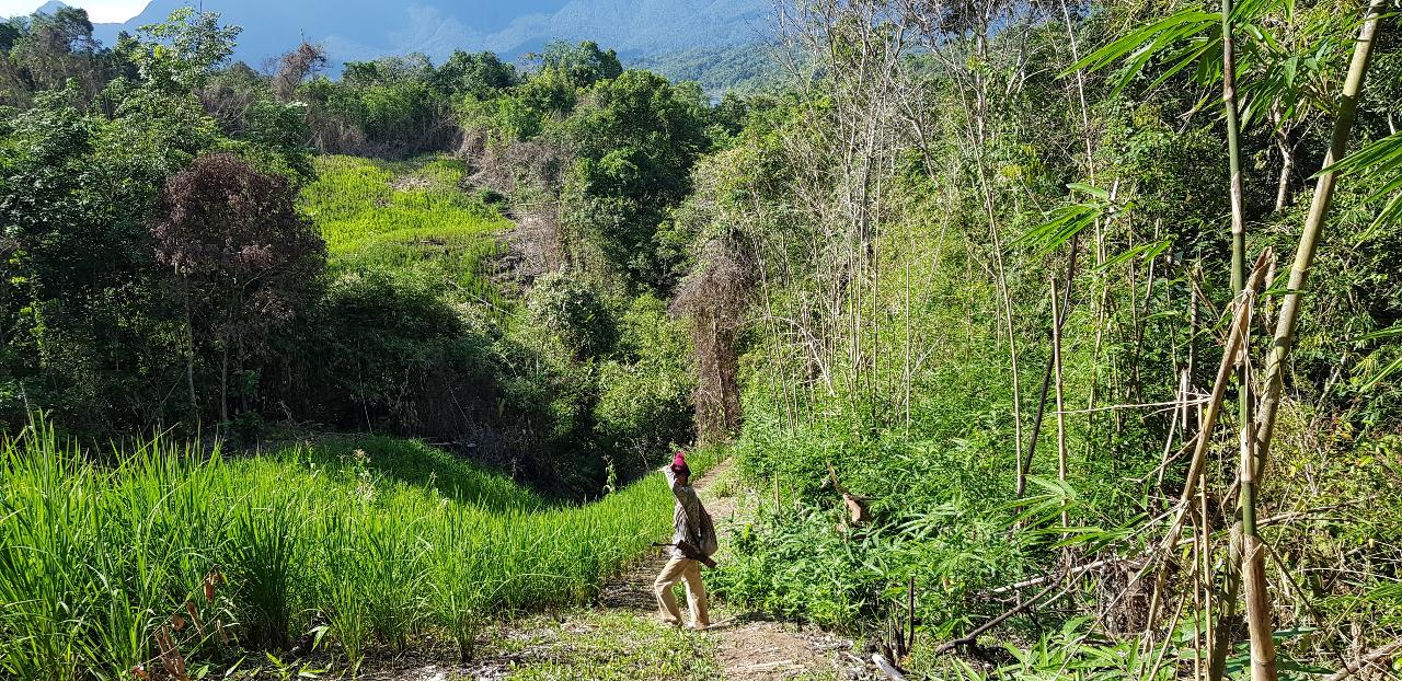 8-Day Trek, Pedal, & Paddle the Sarawak Rainforest (BM8B)