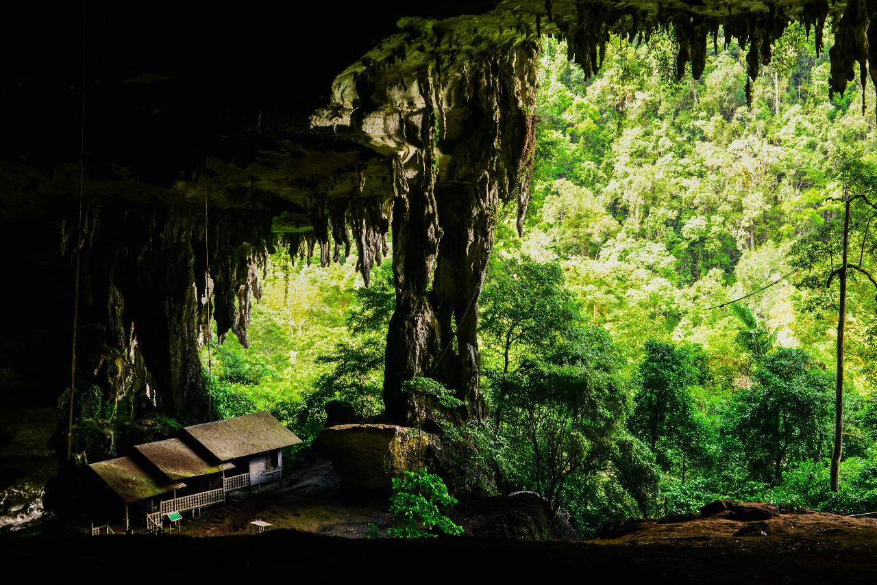 Niah Cave National Park Discovery, Miri (C7)