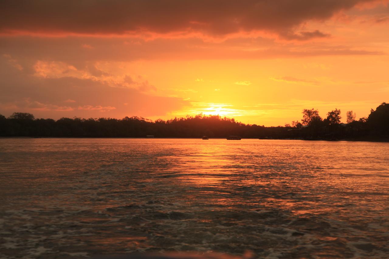 Evening Wetlands Wildlife Cruise (W3)