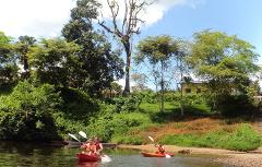 Sarawak Rainforest: Kayak & Orangutan Discovery (K2)