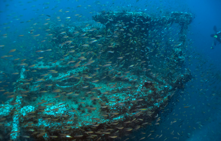 Shipwreck Dive Kuching