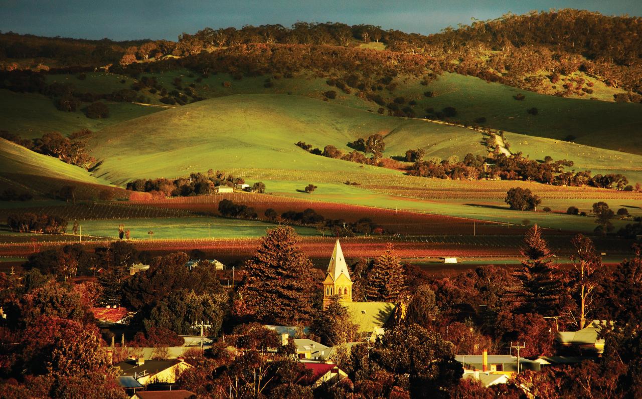 Barossa Full Day Private Wine Tour in modern Mercedes