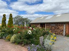 Sensations Full Day McLaren Vale Tour