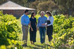 Ultimate Barossa Day Tour