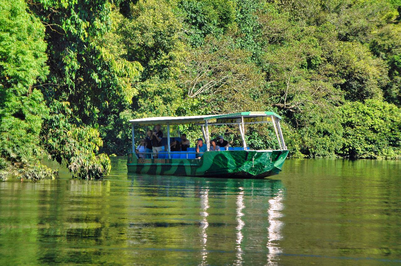 daintree river wildlife and crocodile cruise