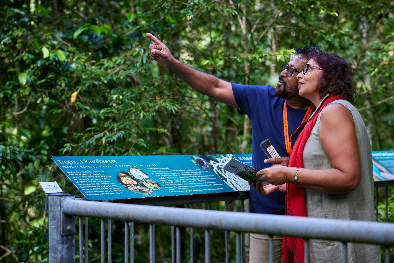 Crocodile Express Daintree River Cruise Daintree Village & Daintree ...