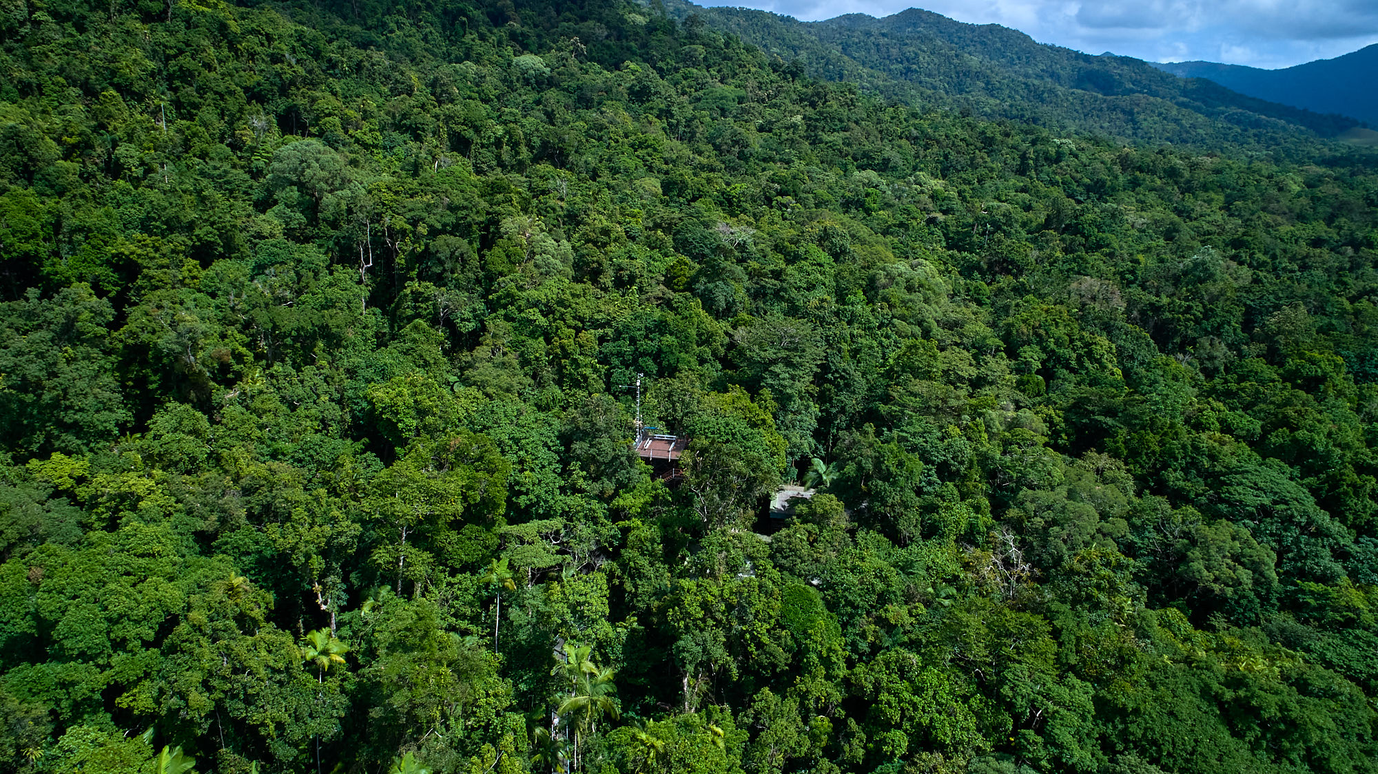 Crocodile Express Daintree River Cruise departing from Daintree Ferry Gateway & Daintree Discovery Centre Unlimited Pass