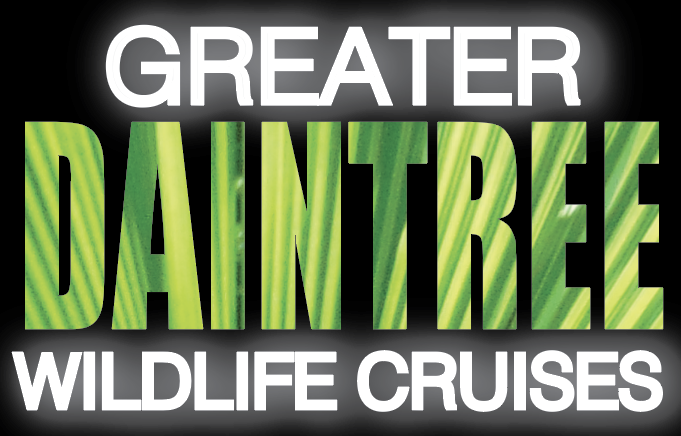 11.00AM CRUISE FIVE (5) : Crocodile Express Greater Daintree Wildlife Cruises starts from Daintree Gateway Jetty