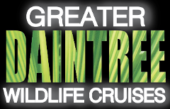 10.00AM CRUISE THREE (3) :   Crocodile Express Greater Daintree Wildlife Cruises from Daintree Gateway Jetty