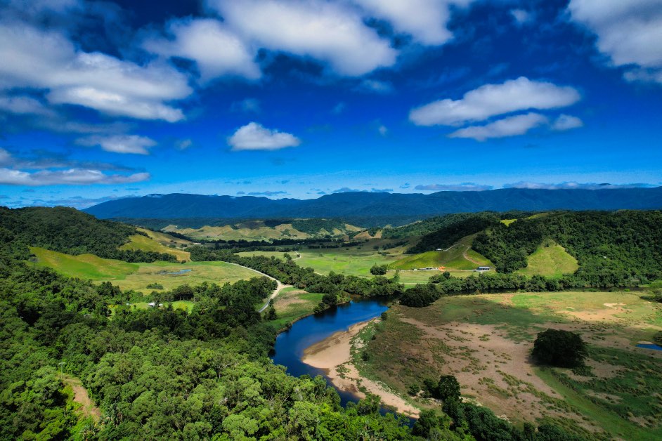 Crocodile Express Daintree Rainforest & Wildlife Cruise (from Daintree
