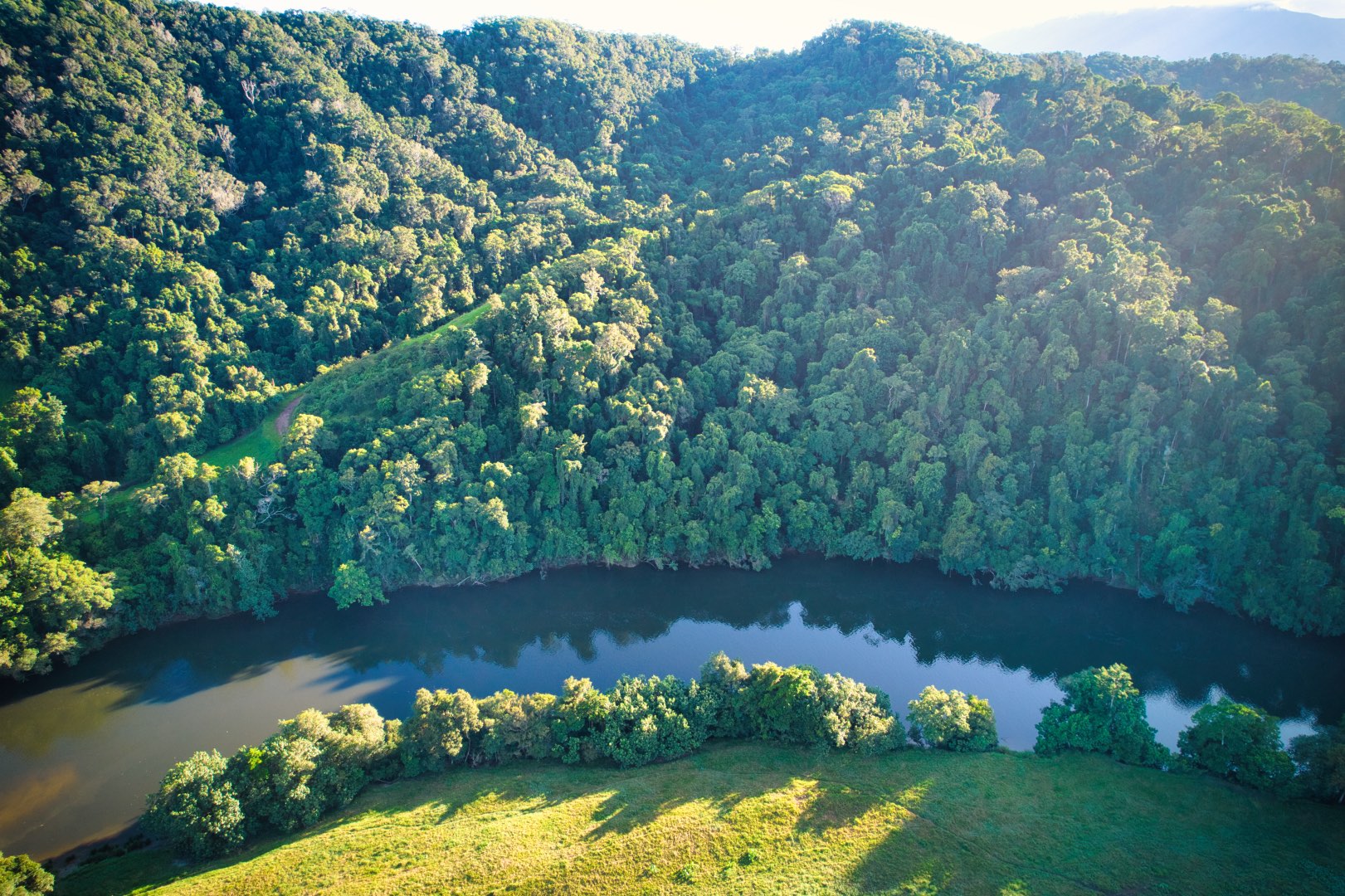 Crocodile Express Daintree Rainforest & Wildlife Cruise (from Daintree Village)