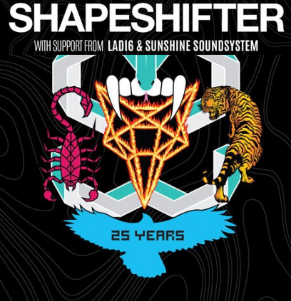 Shapeshifter at the Coroglen: Hahei buses