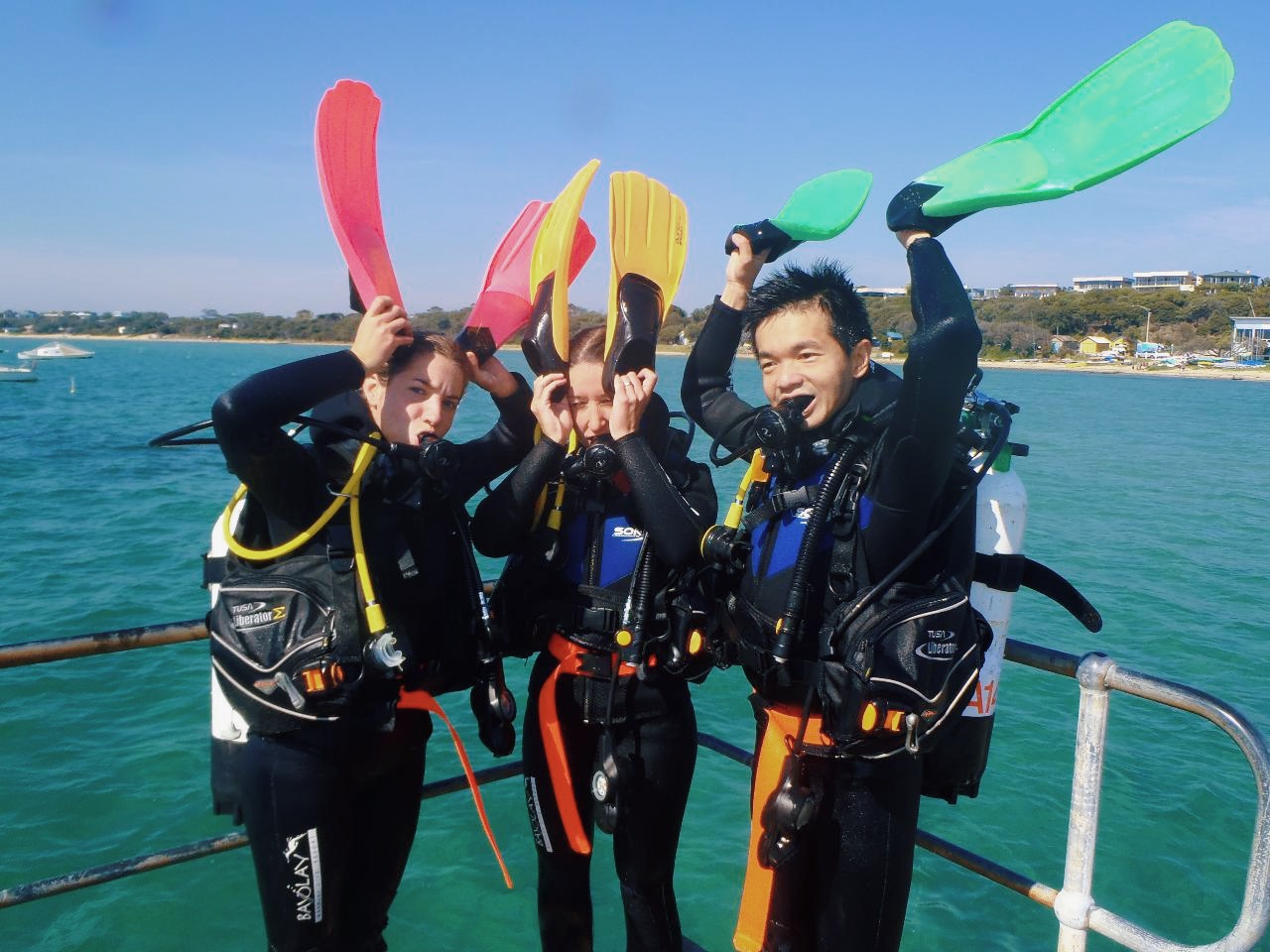 Guided Scuba Dive Certified Divers Bayplay Adventure Tours Pty Ltd