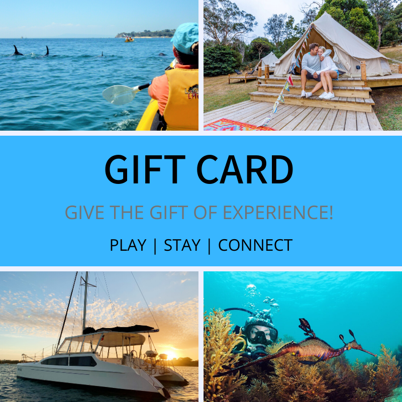 $100 Gift Card