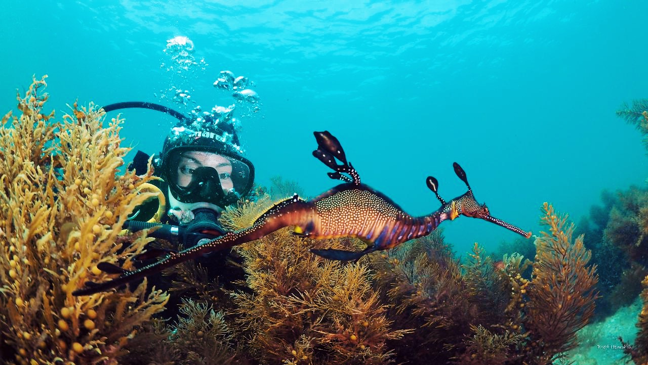 Discover SCUBA Dive