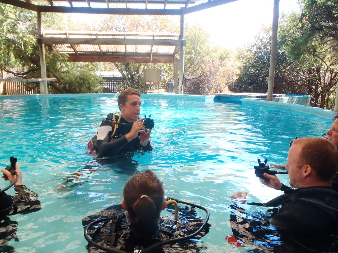 PADI Open Water Dive Course - Adults