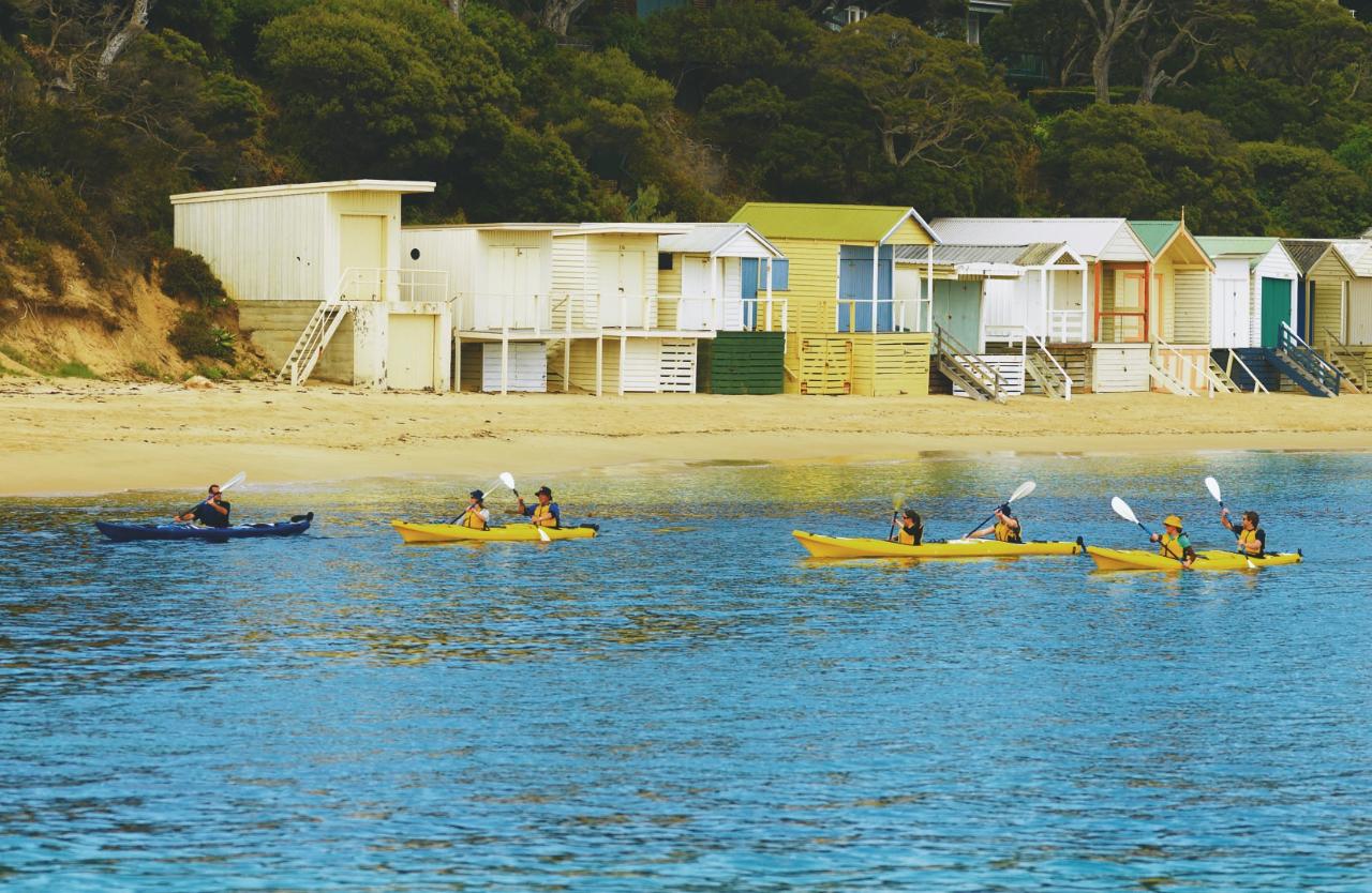 Private - Kayak Tour of Dolphin Sanctuary