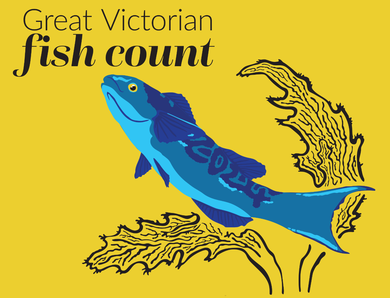 Great Victorian Fish Count 2024