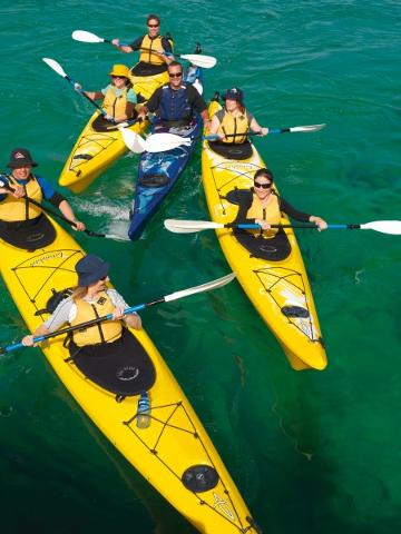 Sea Kayaking Tour - Dolphin Sanctuary (2 People)