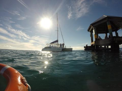Sailing Cruise & Seal Snorkel Option
