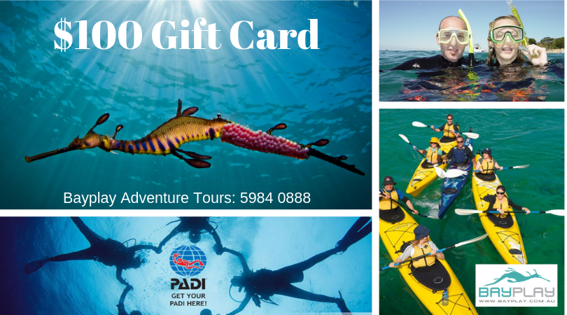 $100 Gift Card