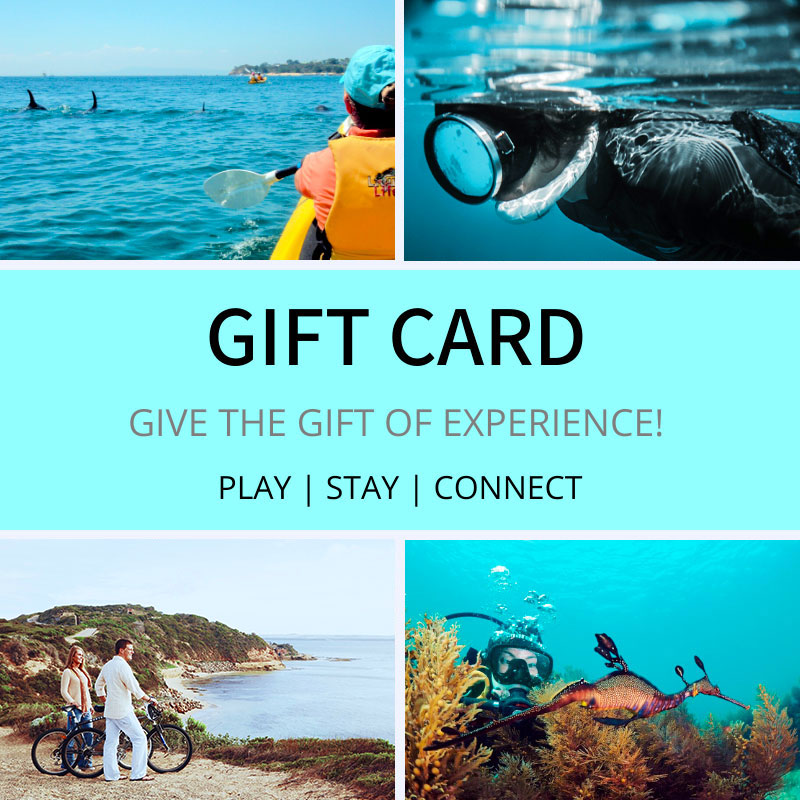 Gift Card $250
