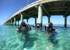 Discover SCUBA Dive